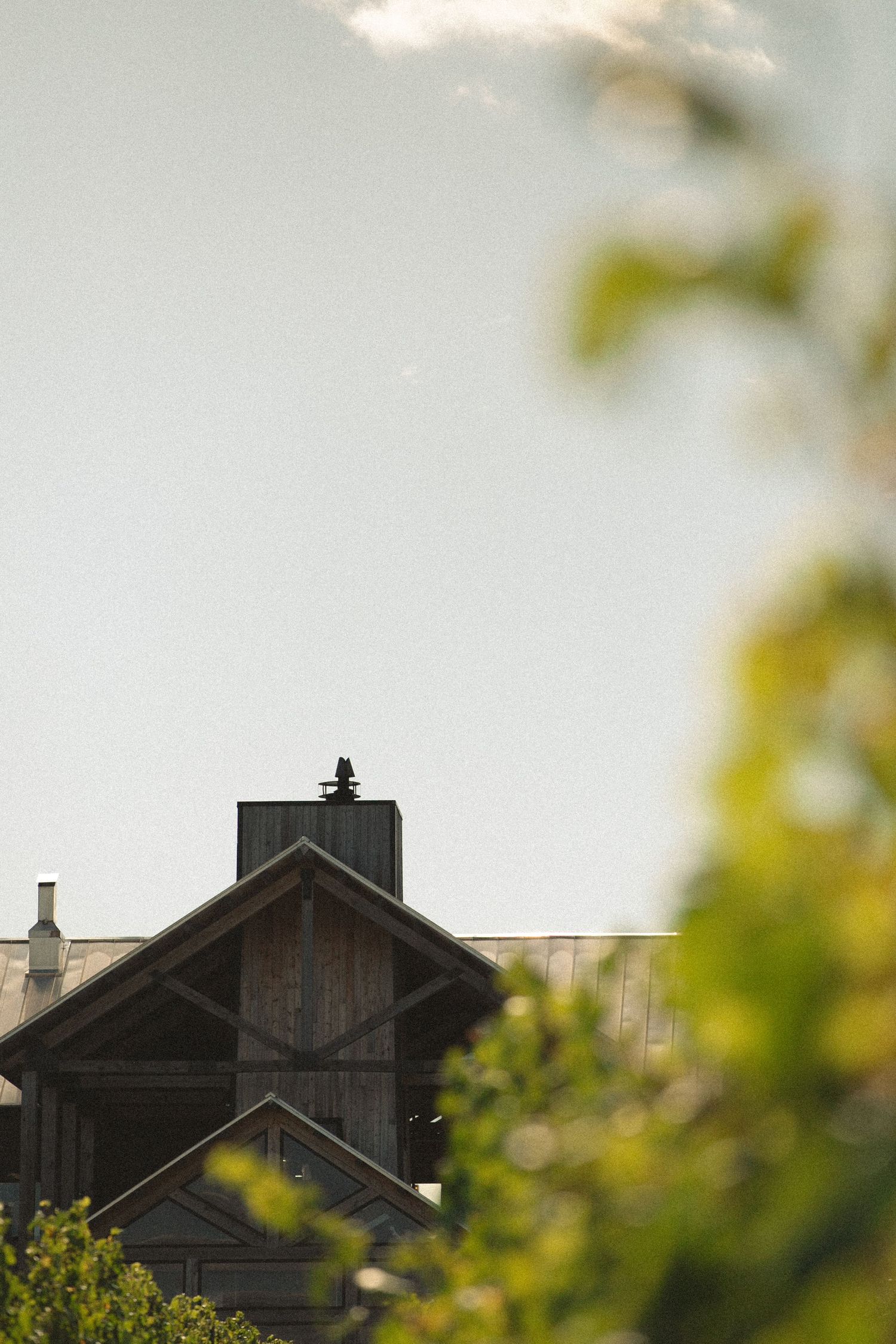 Silhouette of barn rooftop with chimney framed by blurred foliage.