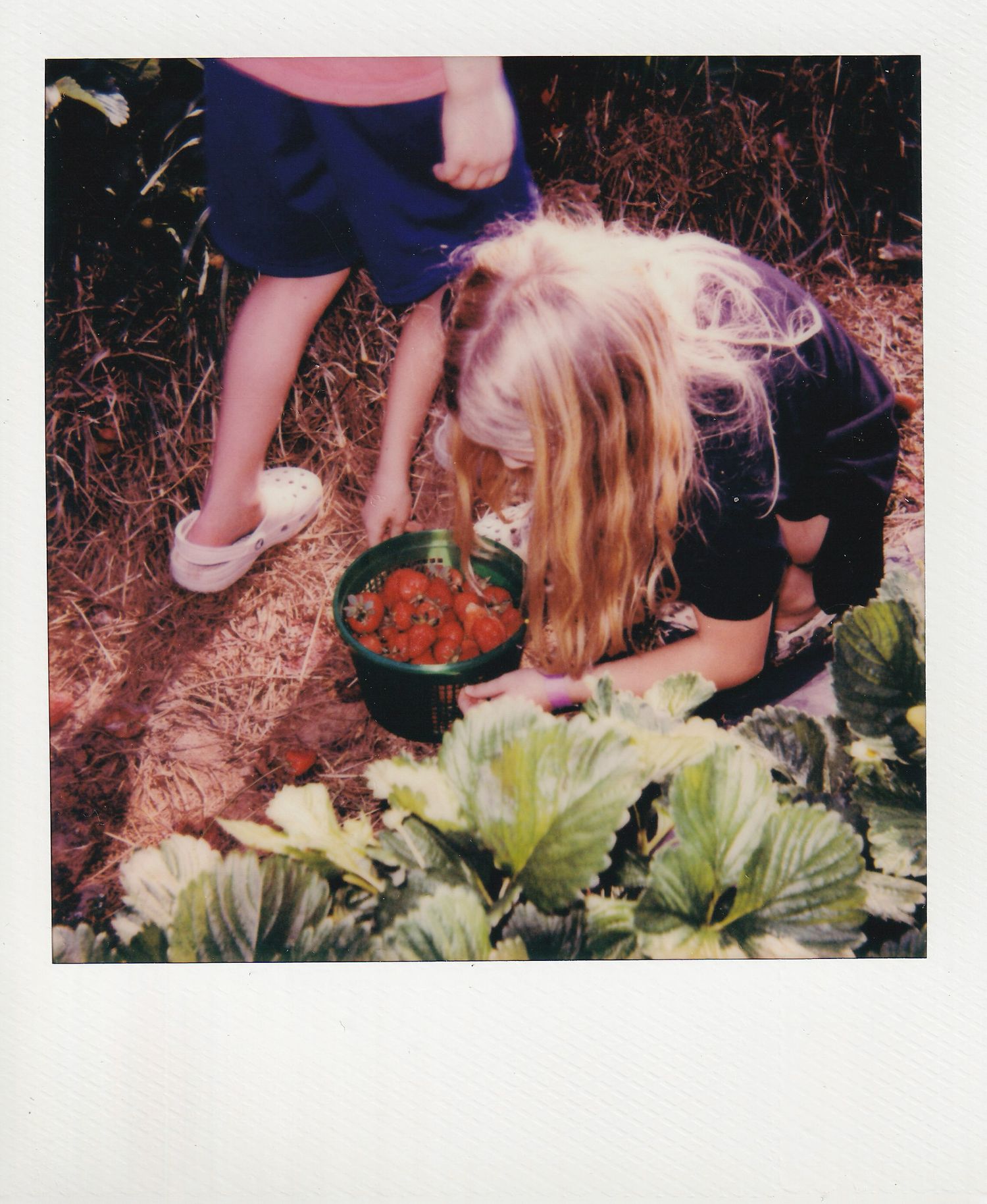 Children explore a garden bed with large leafy plants while kneeling in the dirt and straw.