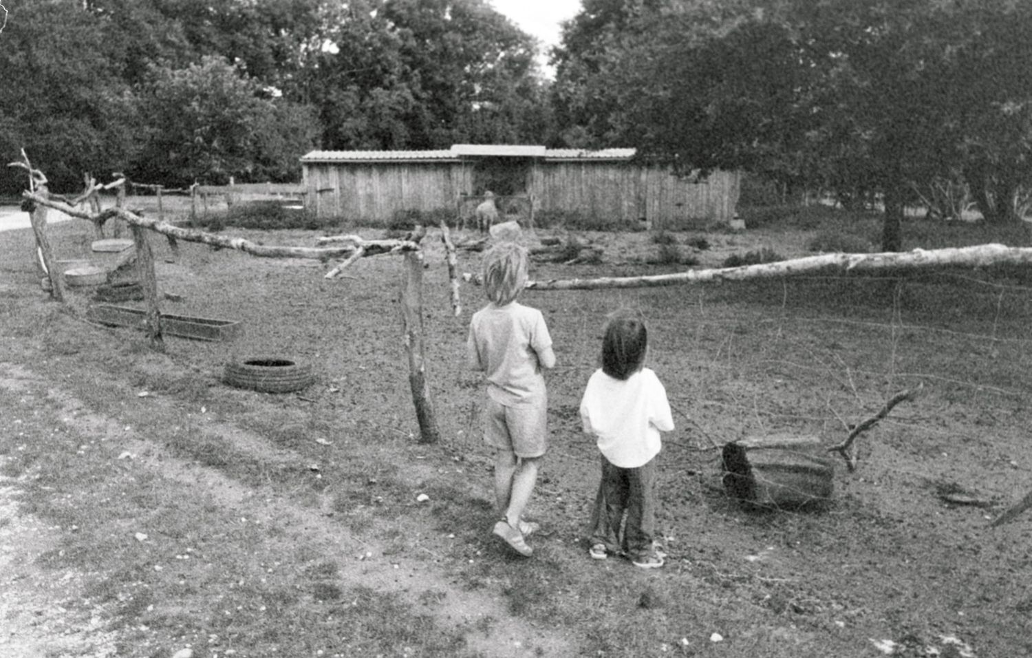 Two people walk along a dirt path with wheelbarrows at a rustic farm or garden setting in black and white.