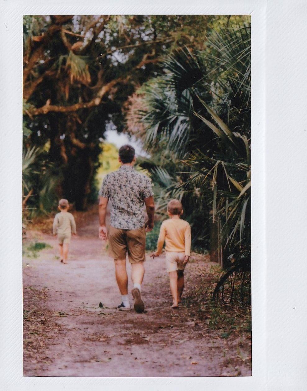 A parent walks hand-in-hand with two young children down a lush tropical tree-lined dirt path.
