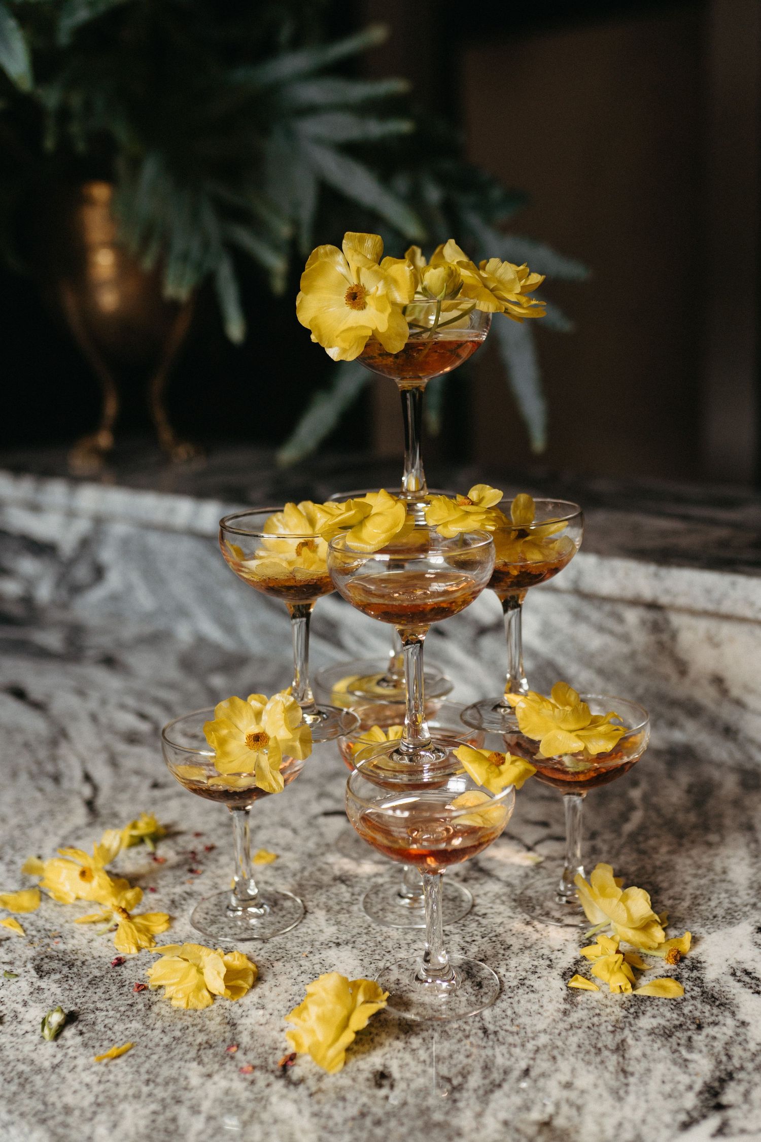 Yellow flowers arranged in delicate glass cocktail coupes create an elegant and artistic display on a textured surface.