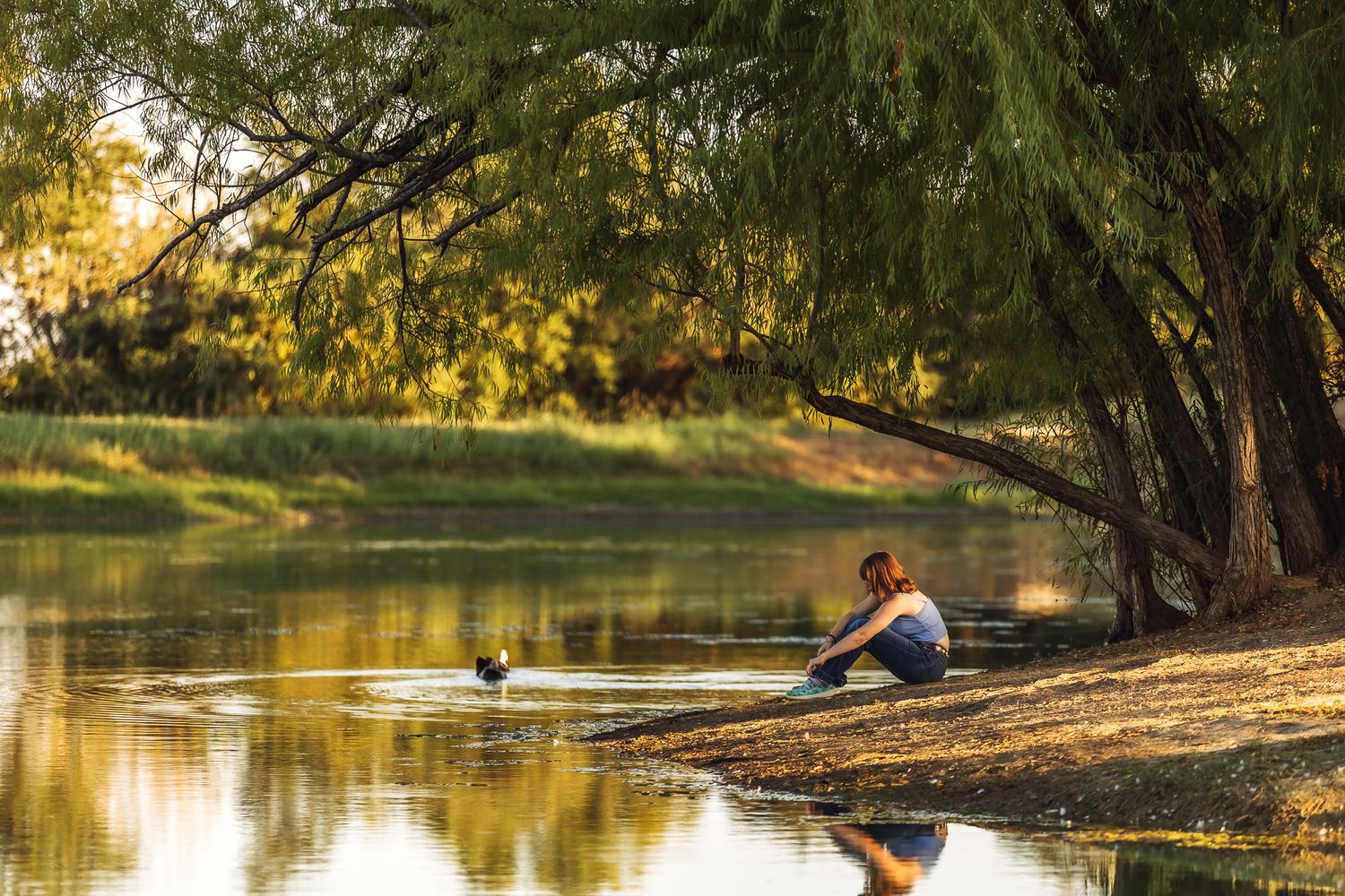 Person sitting and reflecting next to a pond