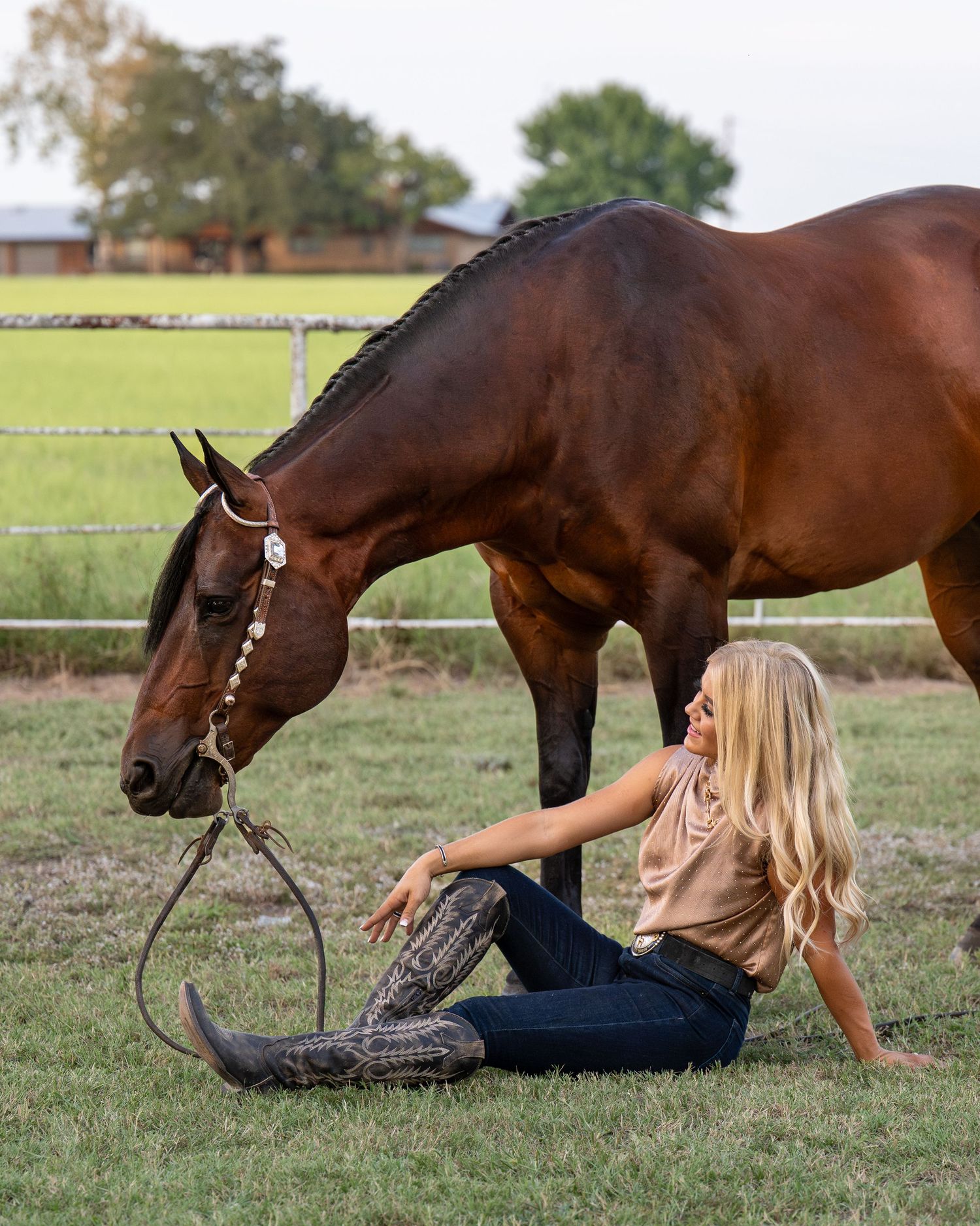 A bay horse grazes while someone relaxes on the grass during a casual photo session.