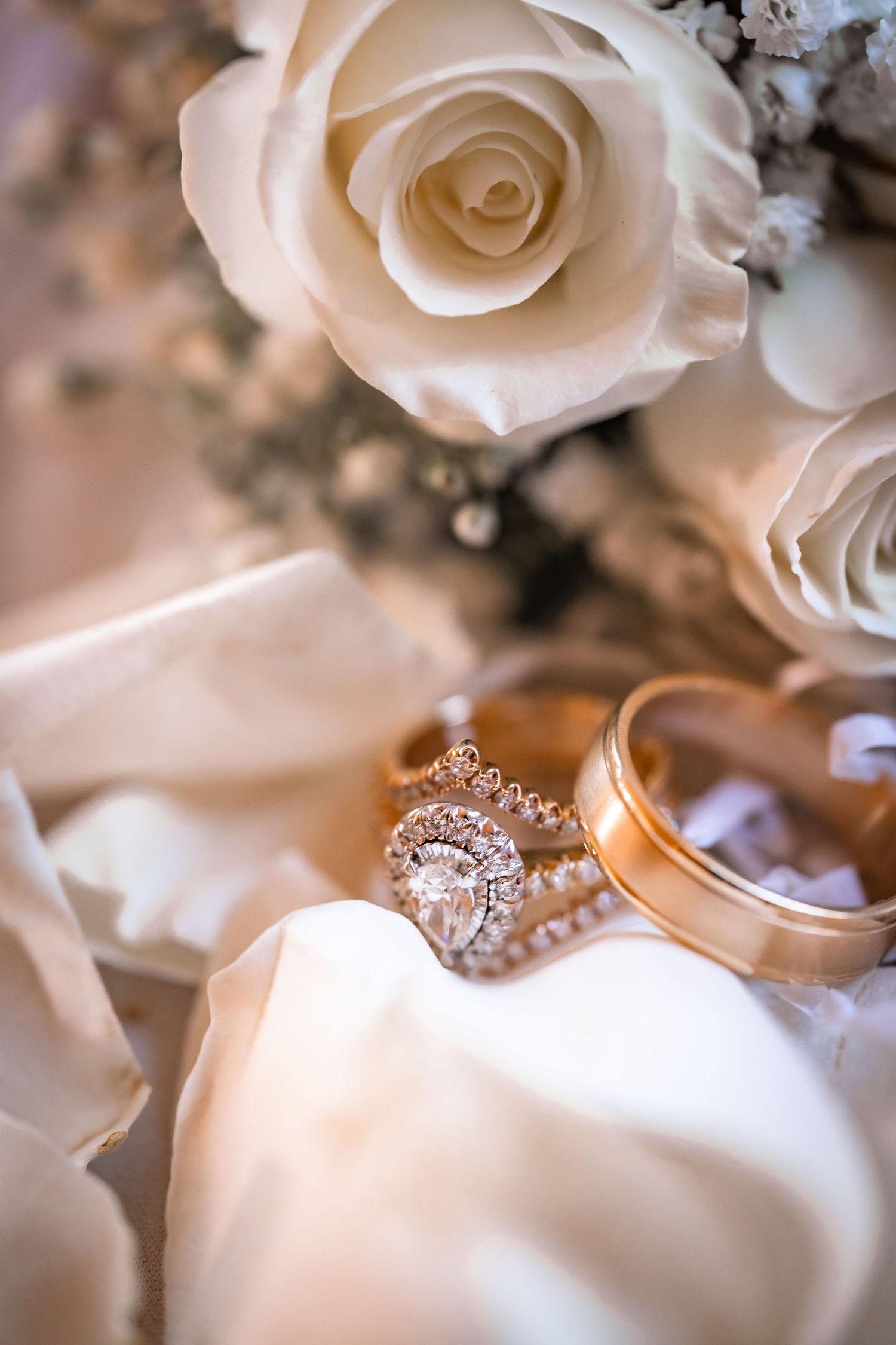 Elegant diamond engagement ring nestled among soft white rose petals with a romantic blurred background.