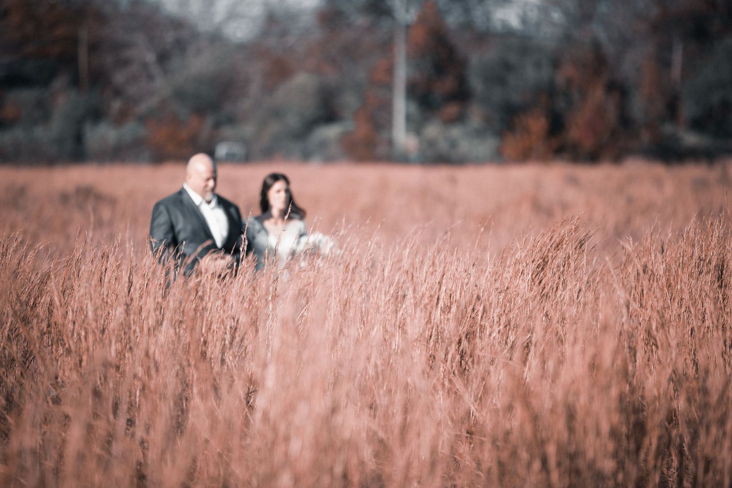 A couple shares a romantic moment together in a golden autumn field at sunset.