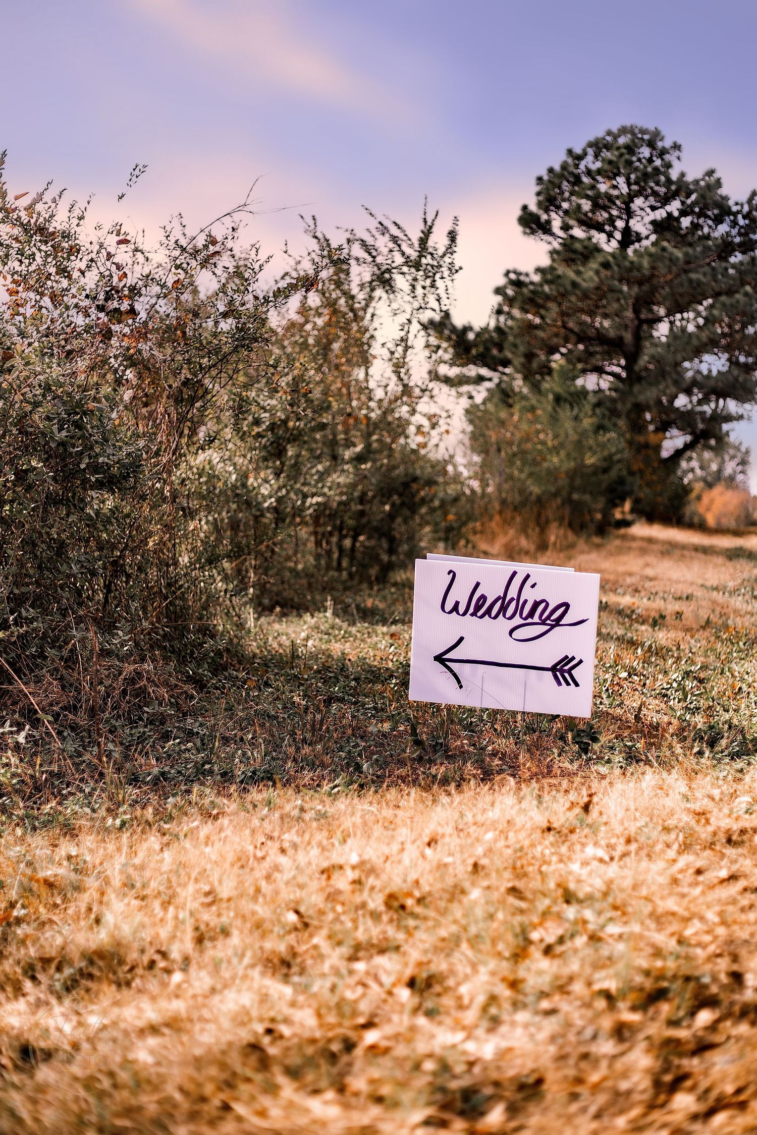 Handwritten wedding directional sign with arrow pointing left, placed in a rustic field with trees and shrubs.