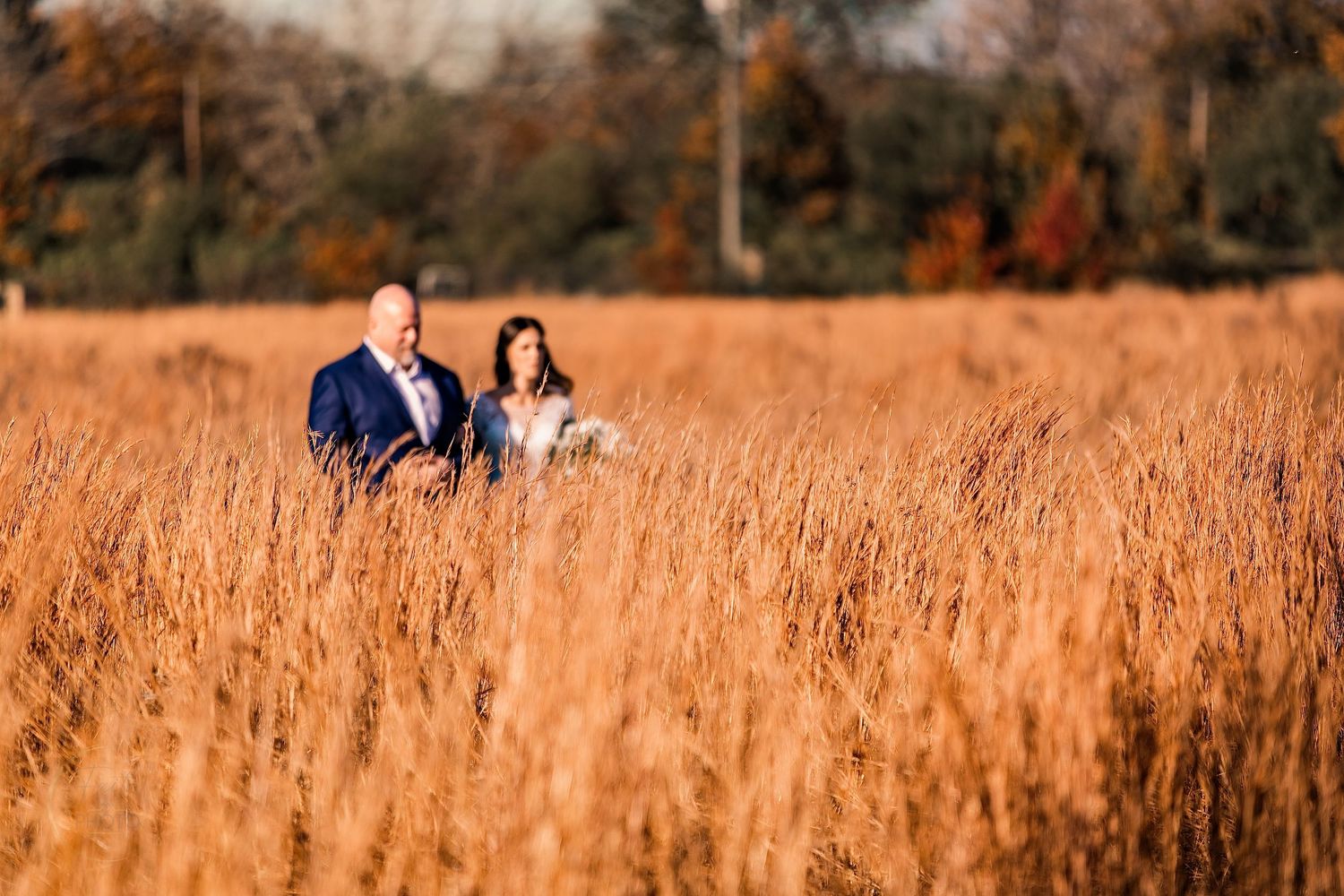 A couple walks through a golden field of tall grass during their fall wedding photoshoot.