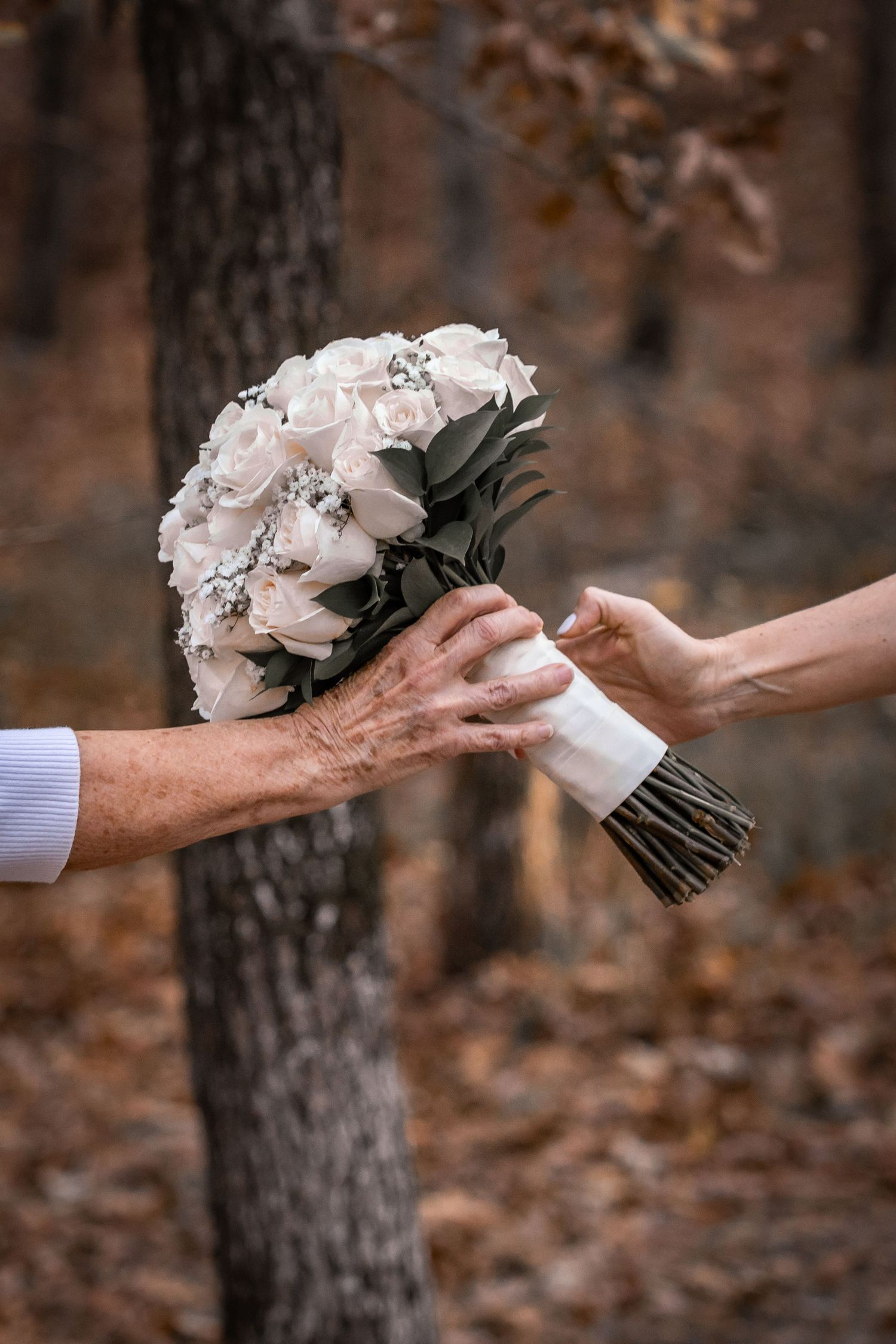 Two hands exchanging a beautiful white rose bouquet wrapped in ribbon against a blurred autumn forest background.