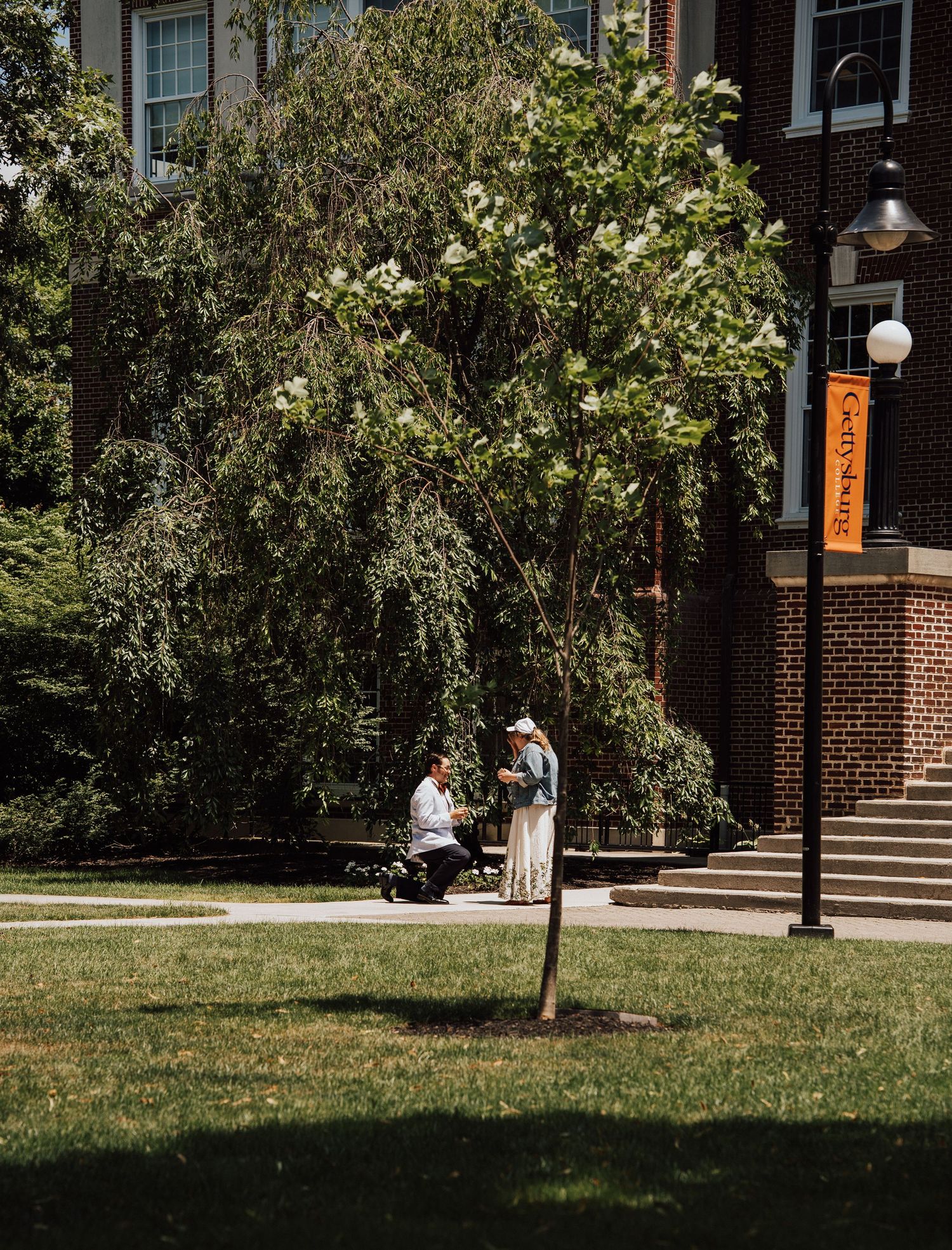 Students chat beneath a large shade tree on a sunny day at a university campus with brick buildings in the background.