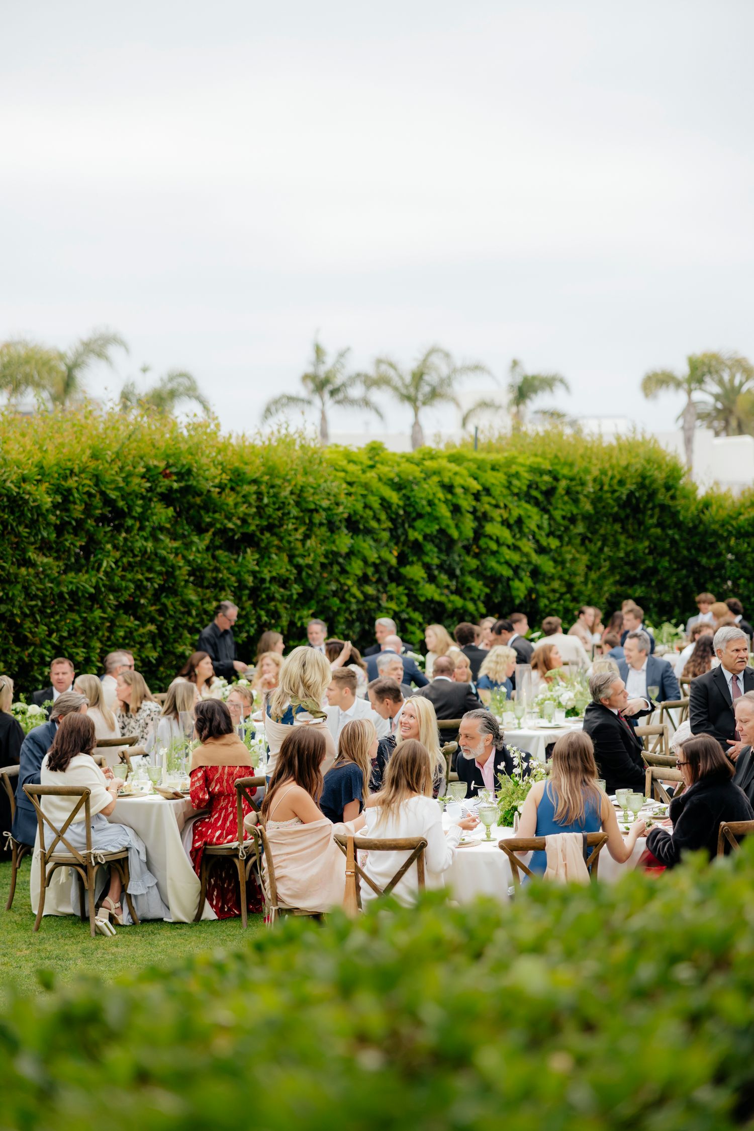 Outdoor wedding reception guests seated at long tables surrounded by lush green hedges and palm trees in garden setting.
