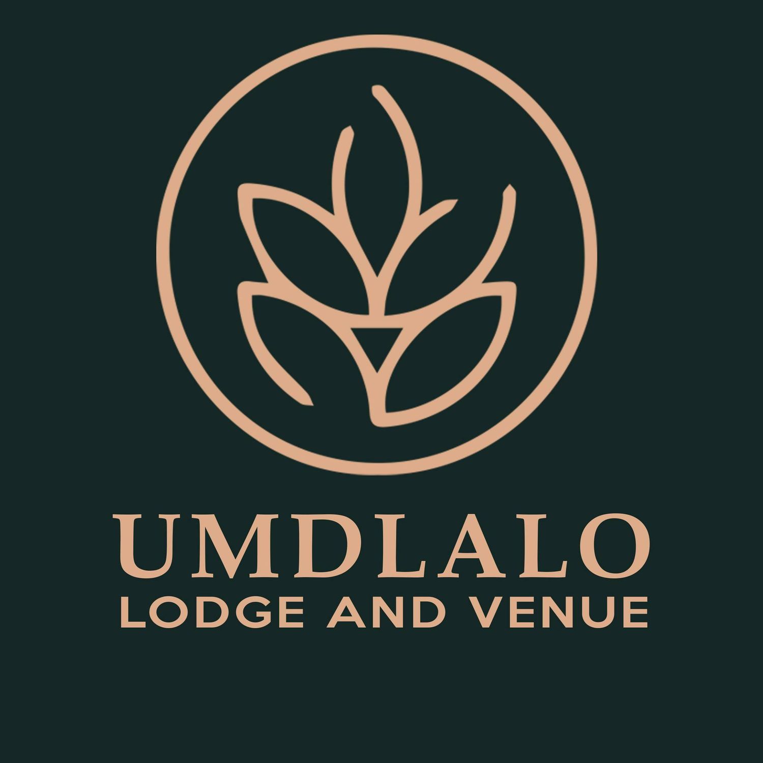 Clients we have worked with