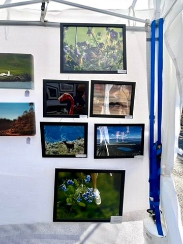 Outdoor art photography display booth with multiple framed nature and portrait prints.