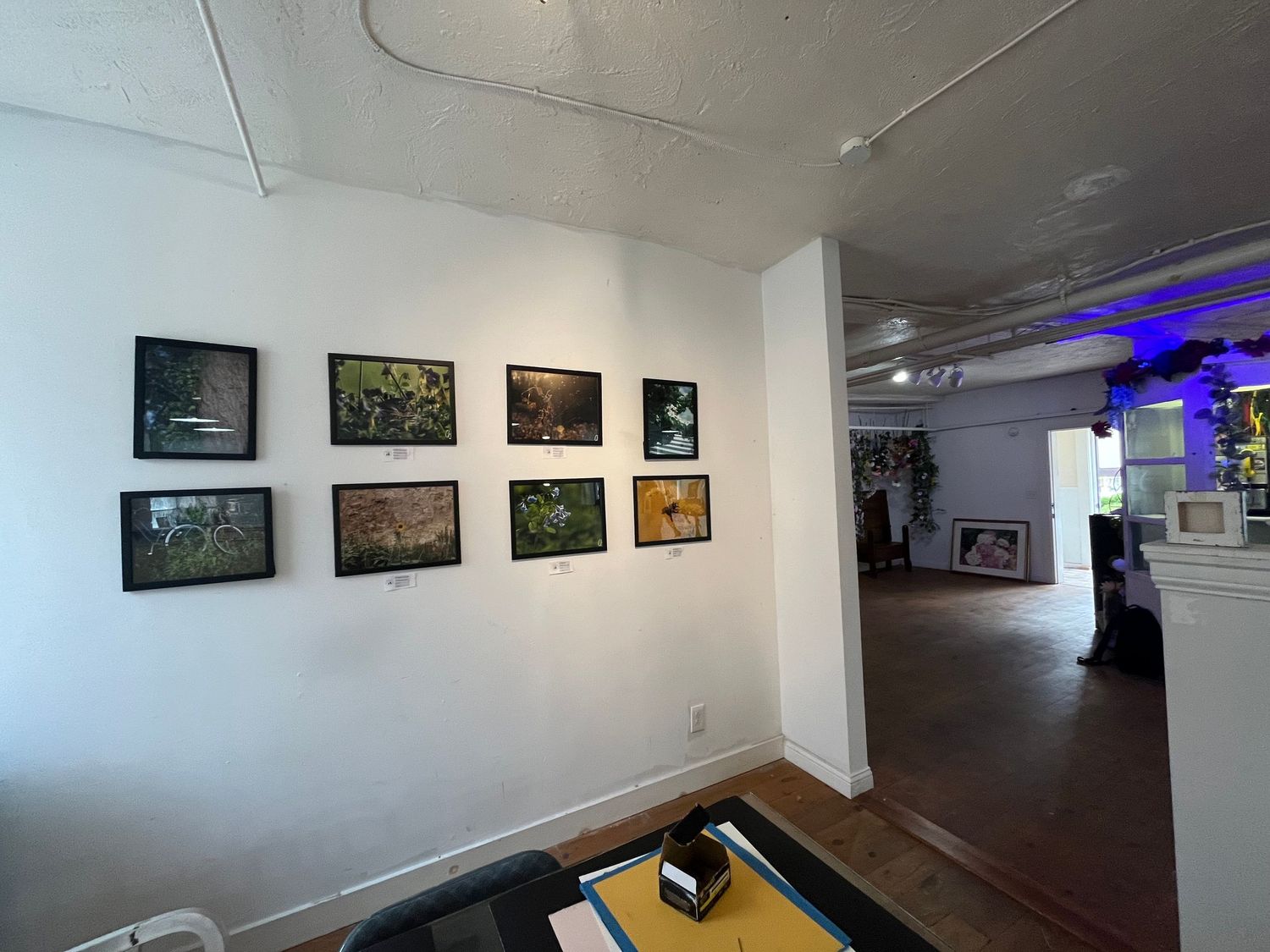 Art gallery interior with eight framed nature photographs displayed on a white wall with wooden floors.