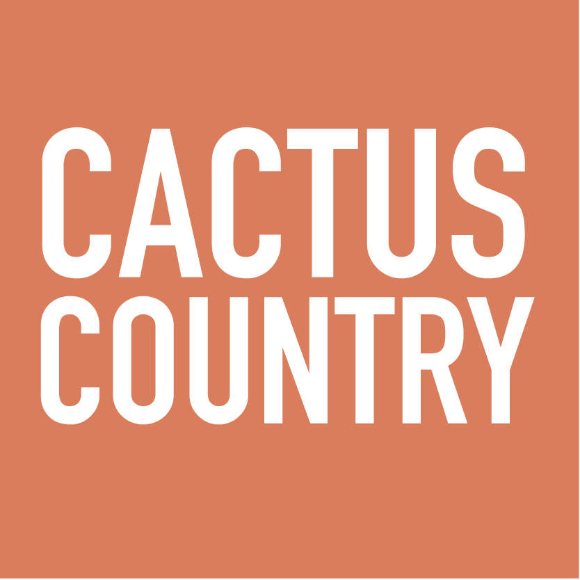 Three abstract cactus shapes in orange and white with text fragments overlaid in a modern design aesthetic.