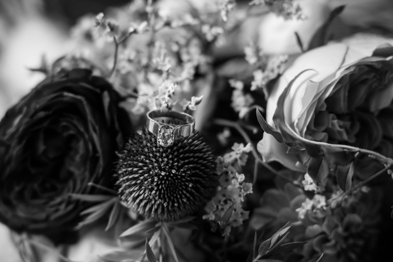 Close-up details of dark flowers and floral arrangements in dramatic black and white.