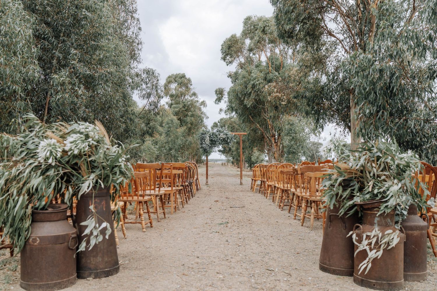 Rustic outdoor wedding ceremony setup with wooden chairs and eucalyptus trees lining a dirt pathway.