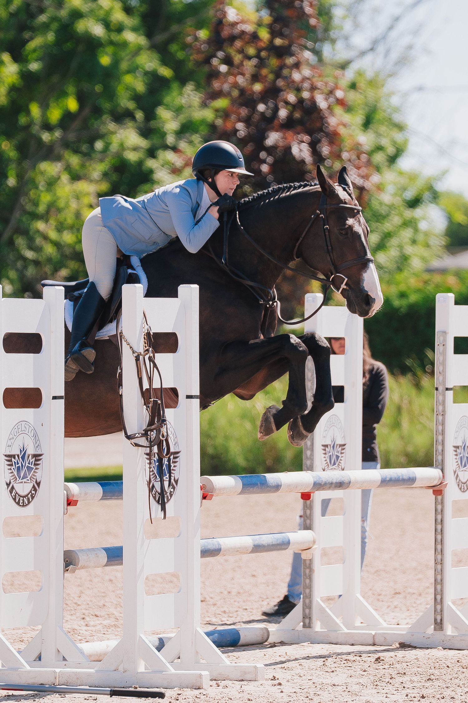 A sequence of show jumping photos captures a horse and rider clearing white obstacles on a sandy arena course.