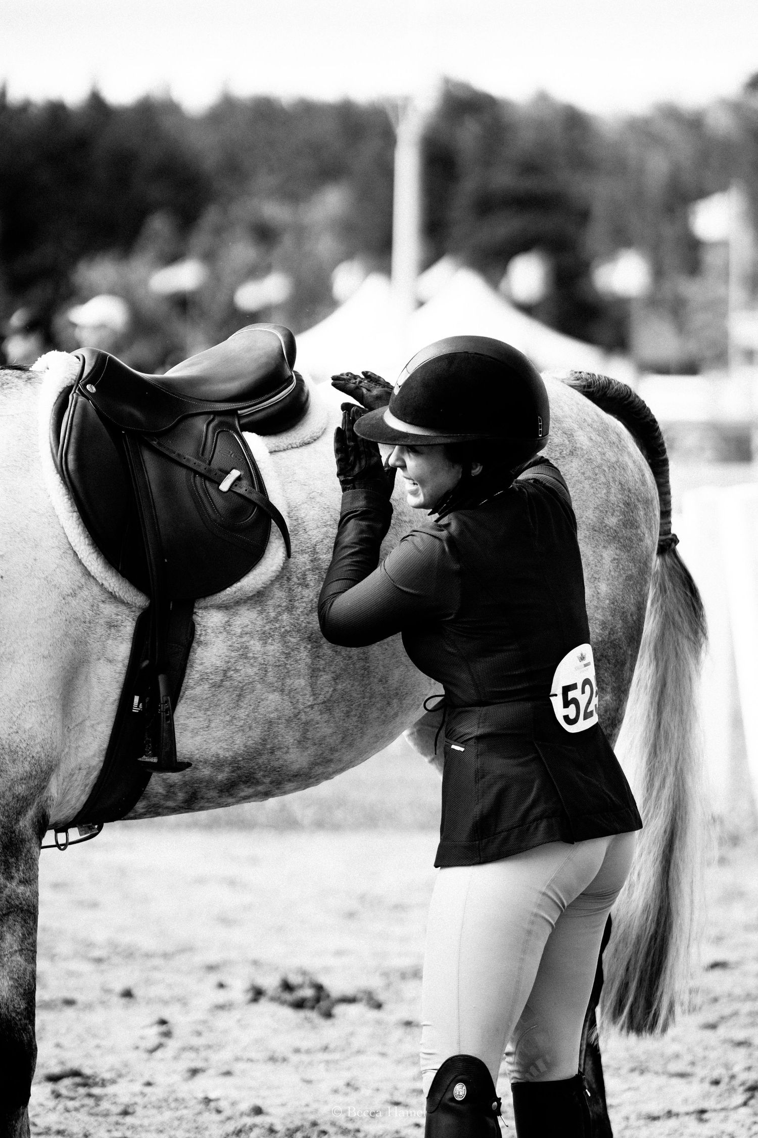 A black and white photo sequence shows someone grooming and preparing a white horse for riding.