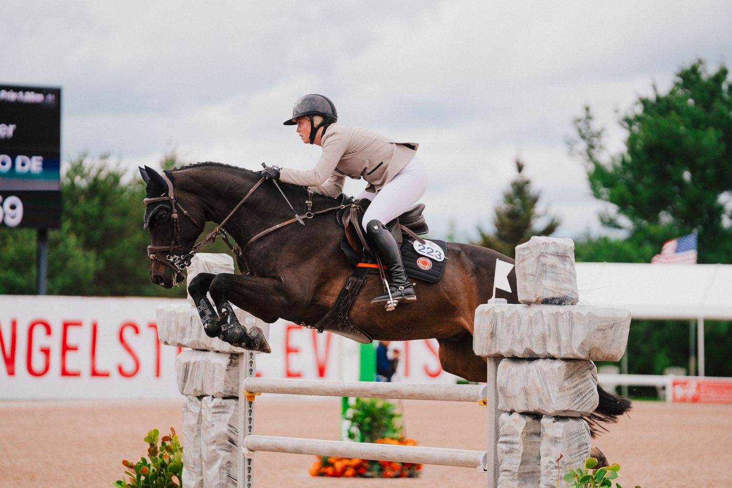 Equestrian rider and dark brown horse clearing a stone wall jump during competition.