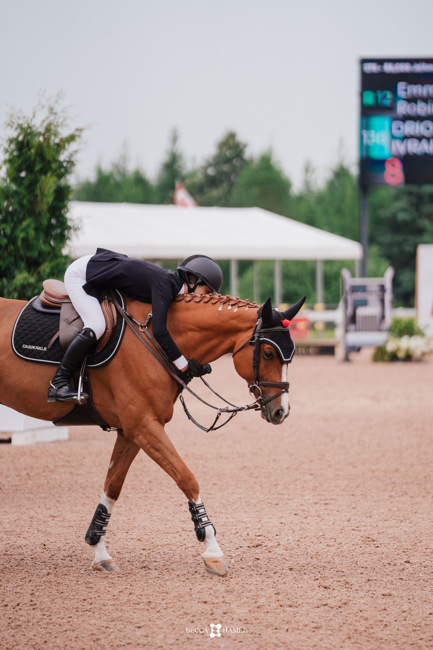 A sequence of photos showing a bay horse performing a rollback maneuver in a sandy arena during competition.