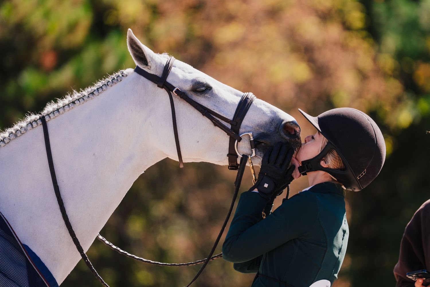 A sequence of equestrian photos showing a horse and rider performing dressage movements in an outdoor arena.