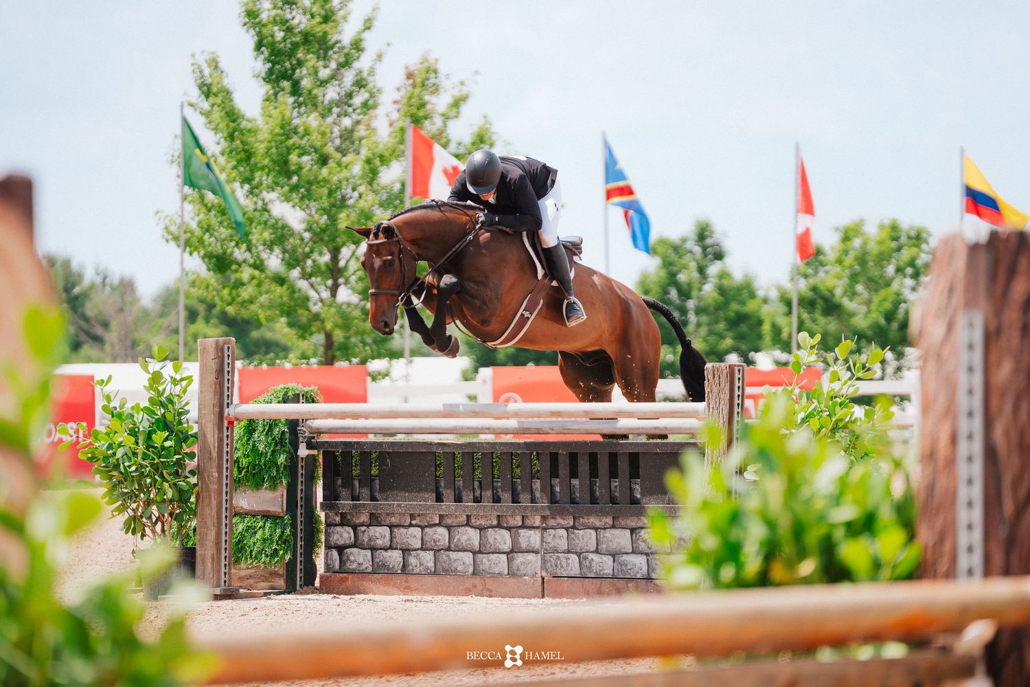 A brown horse and rider compete in an equestrian jumping event with colorful flags and trees in the background.