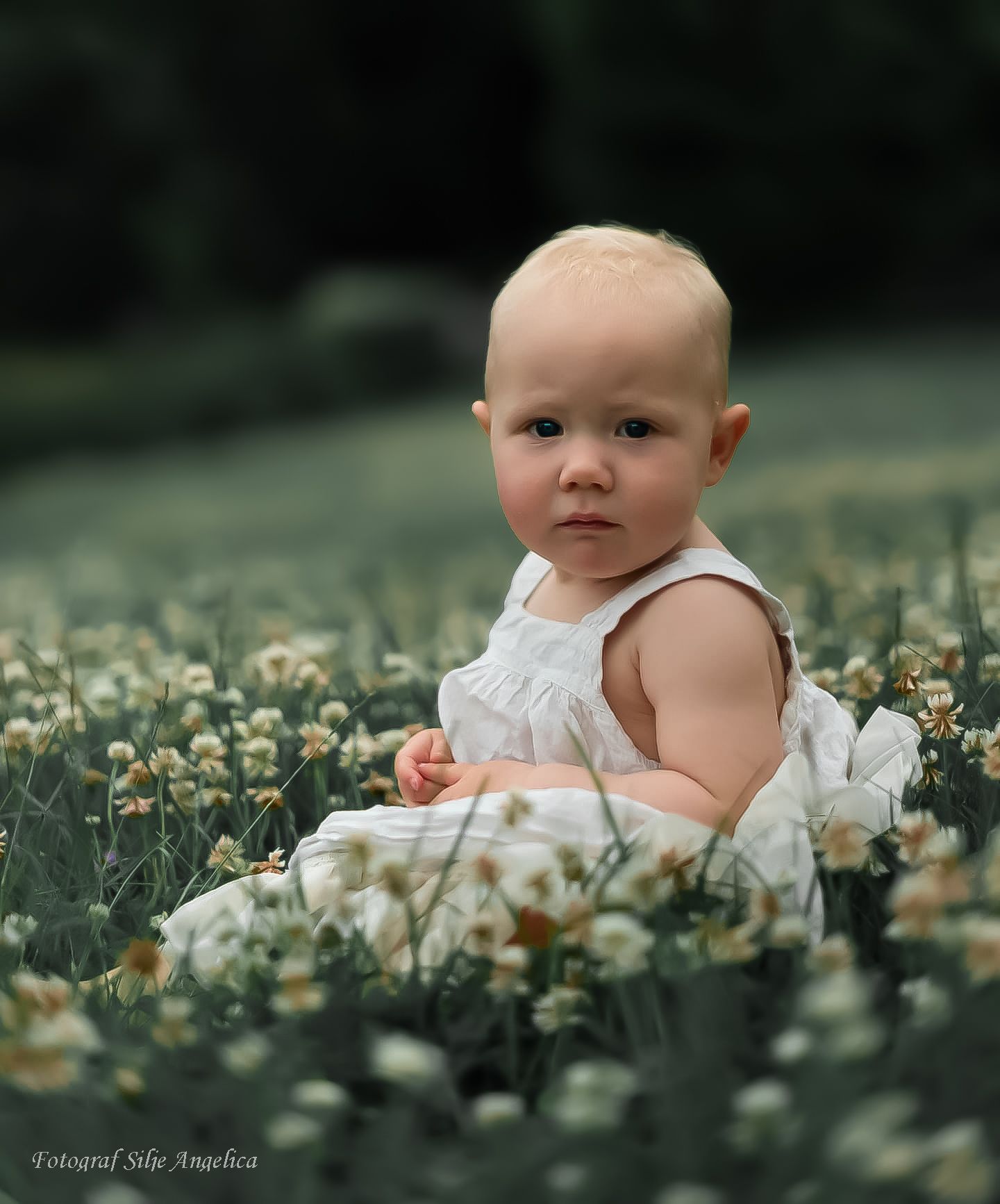 Baby in white dress sitting among blooming daisies in garden setting.