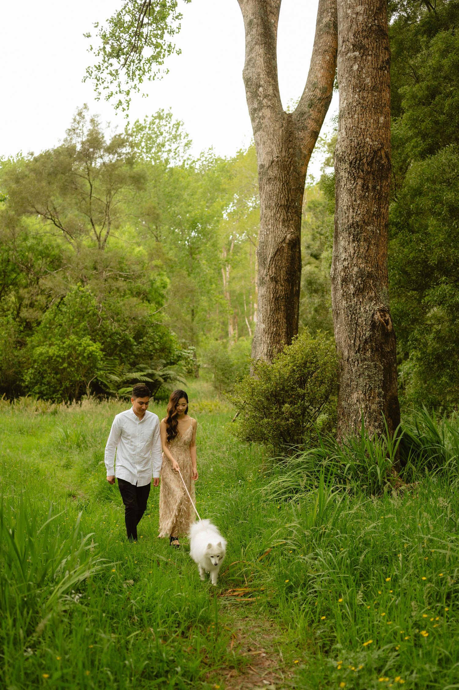Couple walking through tall grass and trees in a natural outdoor setting.