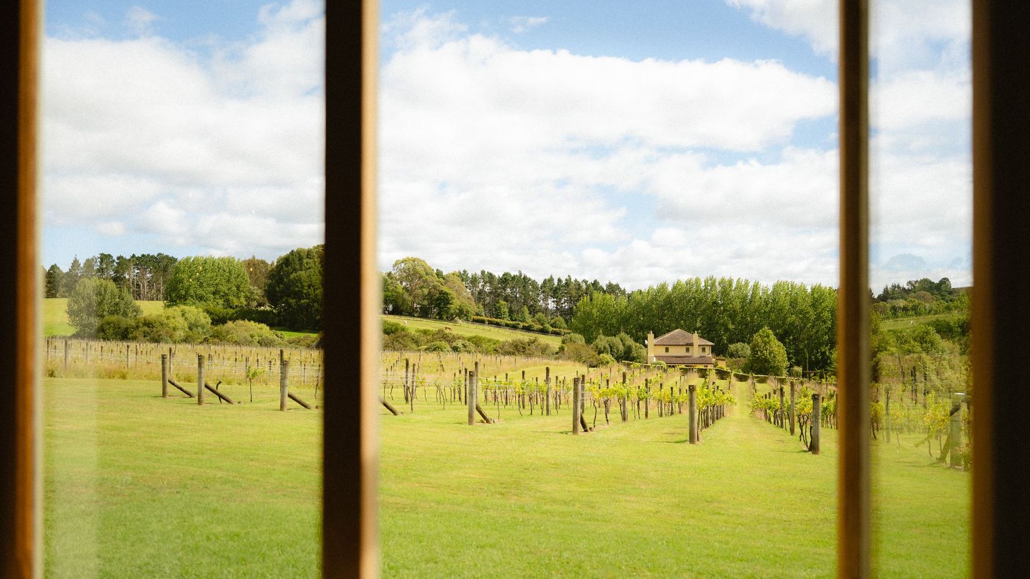 View through a wooden window frame overlooking lush green vineyard rows with a farmhouse and trees in the background.