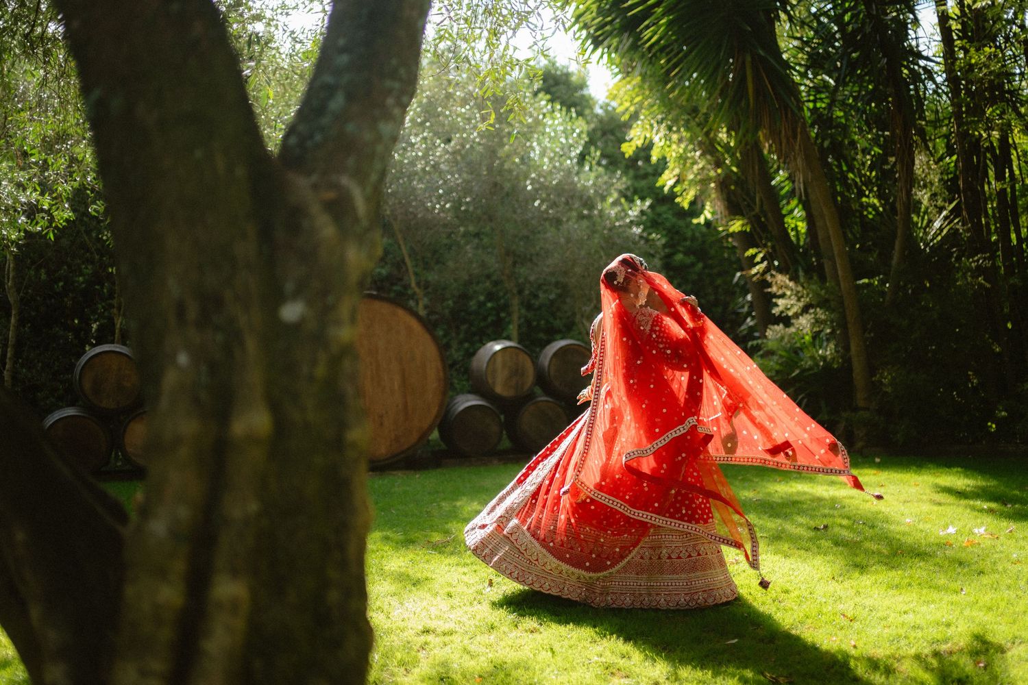 Woman in vibrant red bridal lehenga twirling in lush green garden with wooden barrels in background.