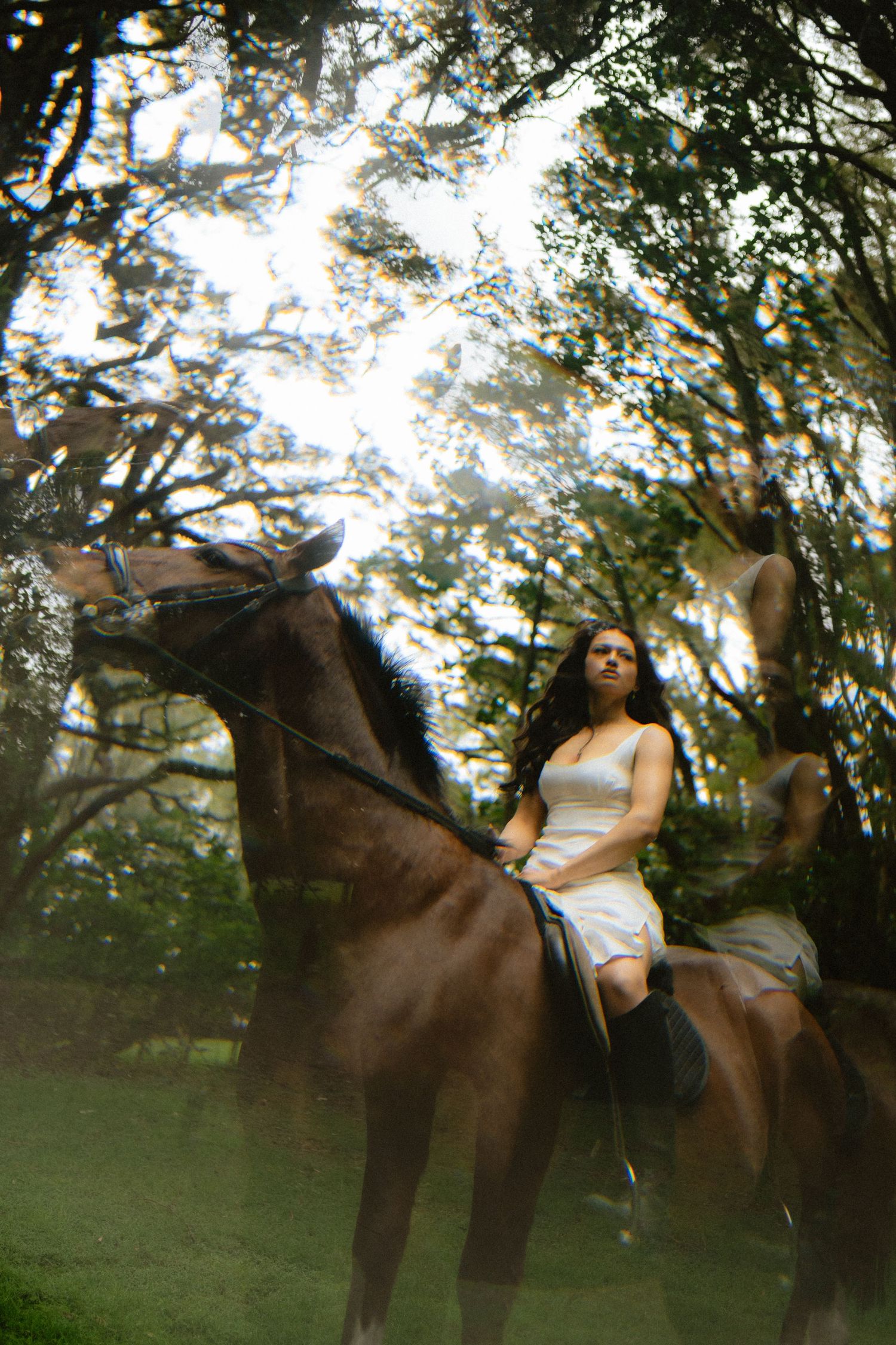 Woman in white dress riding a brown horse through a sunlit forest with a dreamy double exposure effect.