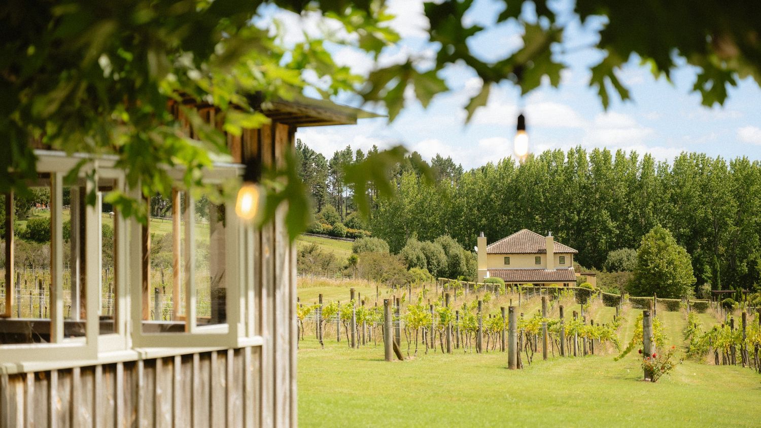 Lush vineyard rows stretch toward a rustic stone house, framed by tall trees and a white veranda in a scenic winery estate.