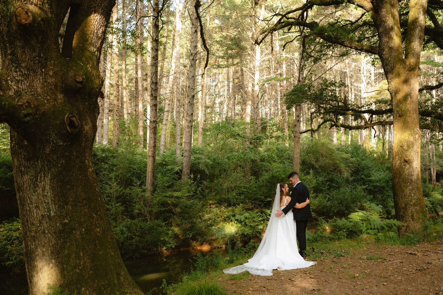 Bride and groom share a romantic embrace in a lush green forest with tall trees and soft natural light.