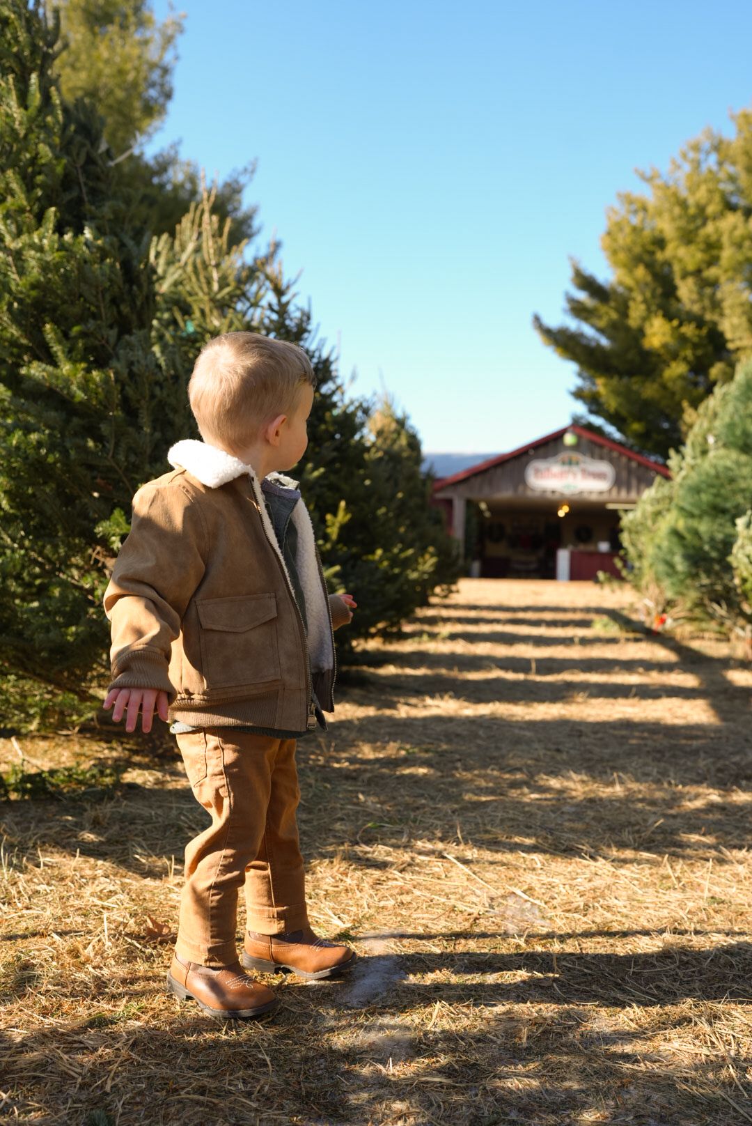 A small garden gnome statue stands on a dirt path leading up to a house on a sunny hillside.