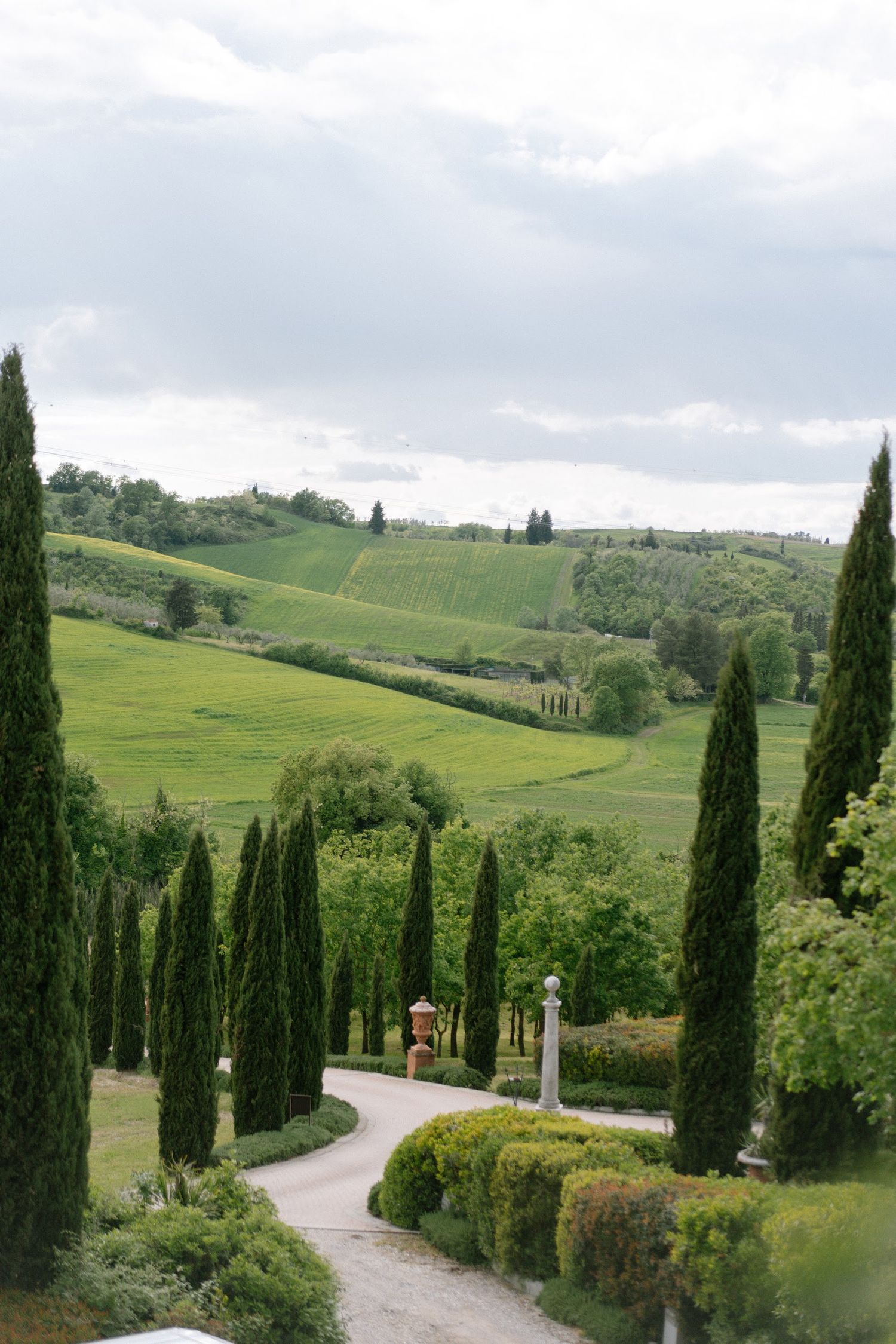 Scenic Tuscan villa driveway lined with tall cypress trees overlooking lush rolling green vineyard hills.