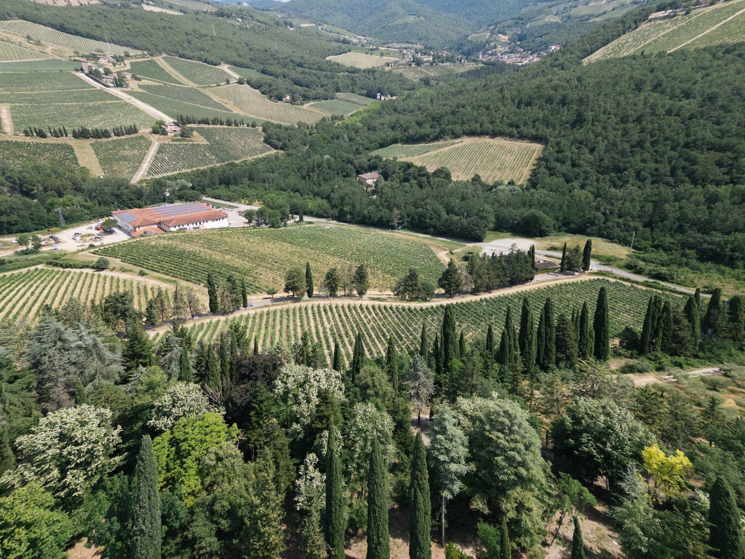 Aerial view of rolling Tuscan hills with lush vineyards, cypress trees, and a winery estate in Italy.
