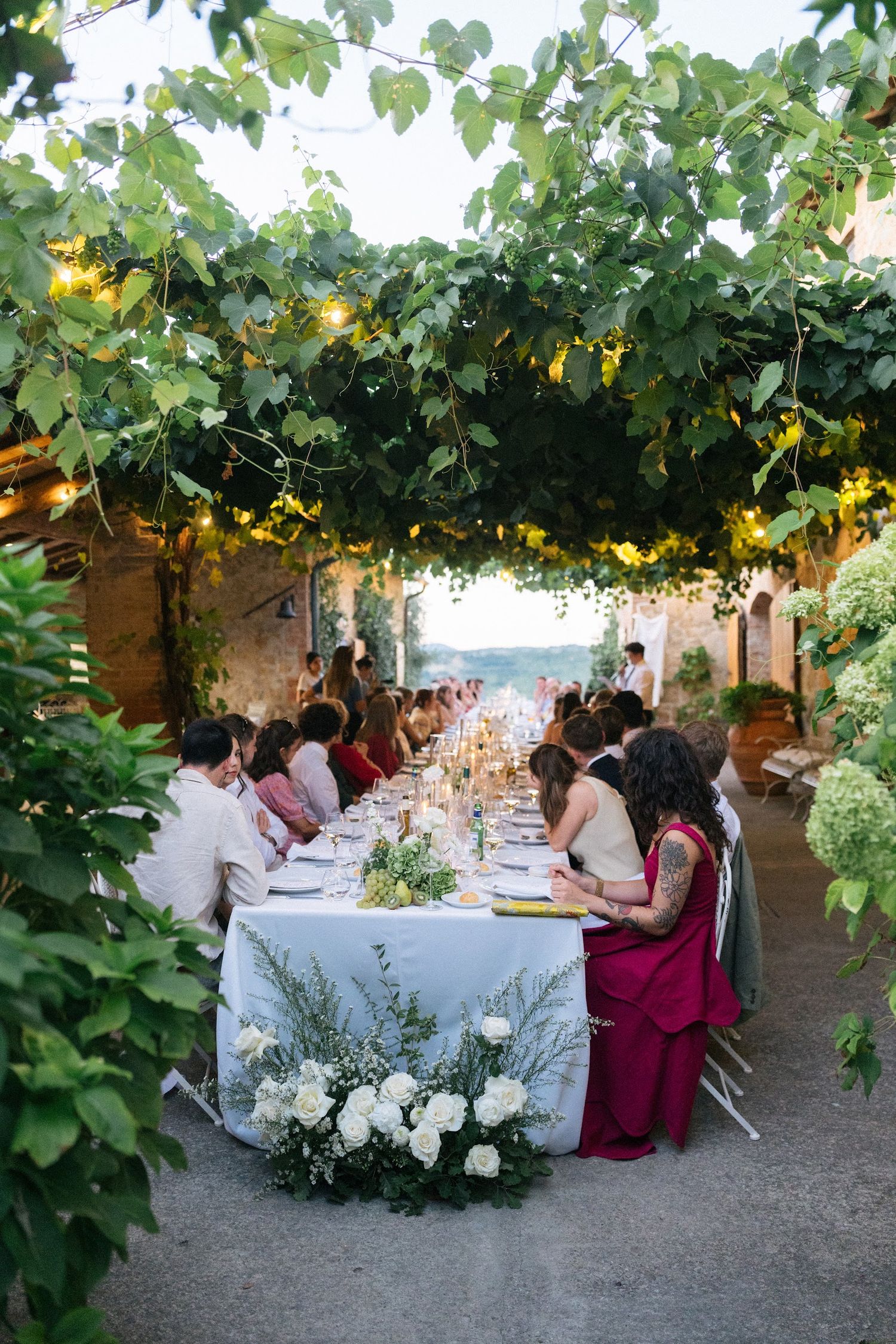 Wedding guests dine at elegant long table under green vine canopy at twilight Tuscan villa reception.