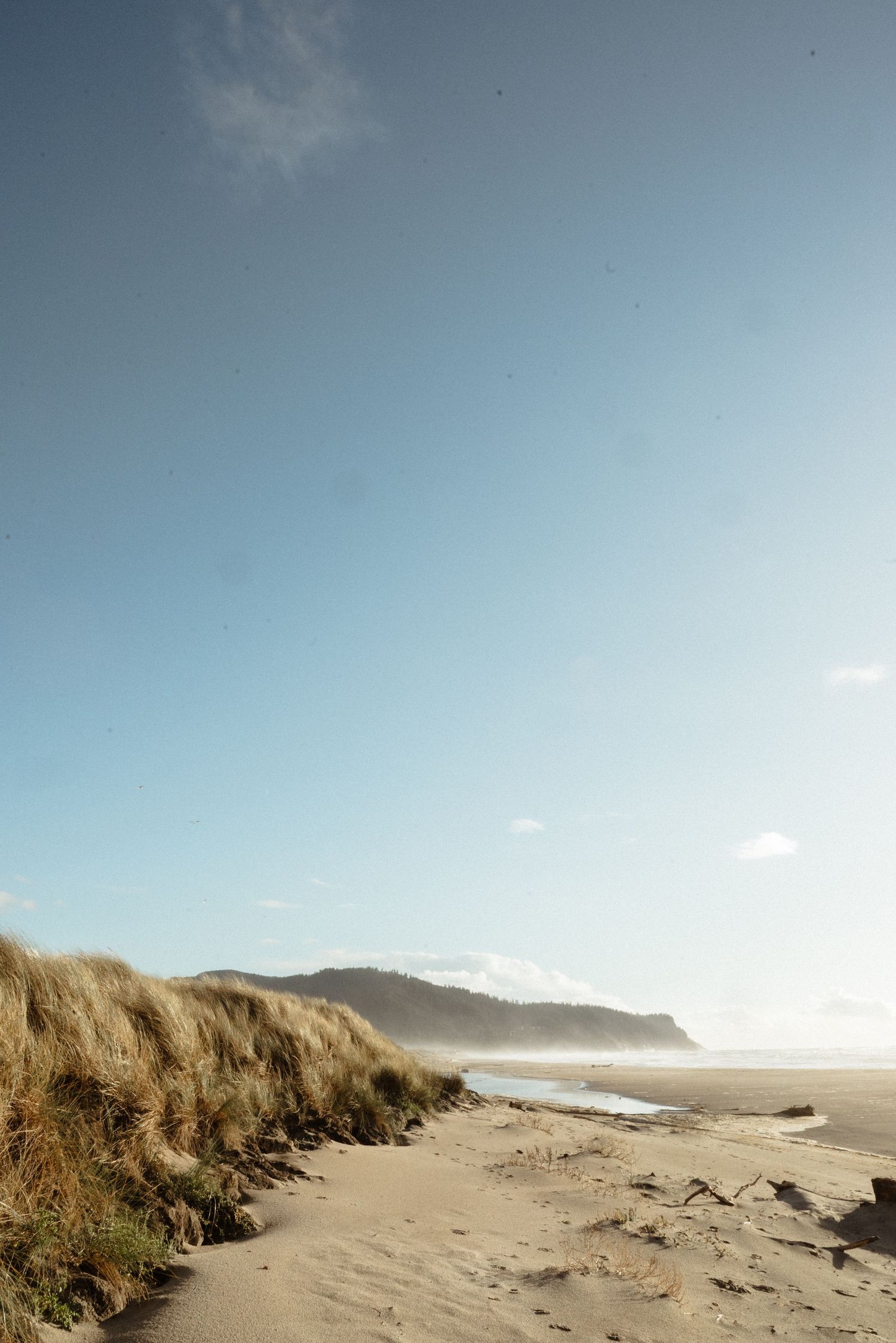 Quiet sandy beach with windswept dune grass in the foreground and a distant headland under a clear blue sky.