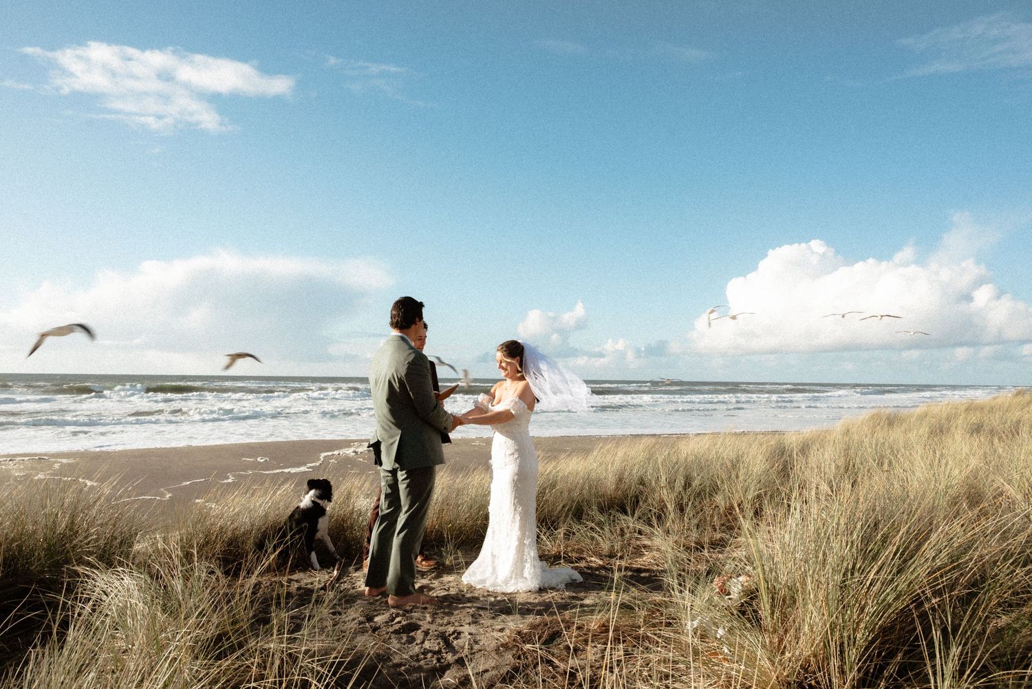 Couple exchanging vows on a sandy beach with tall grass, a dog nearby, seagulls flying, and ocean waves in the background.