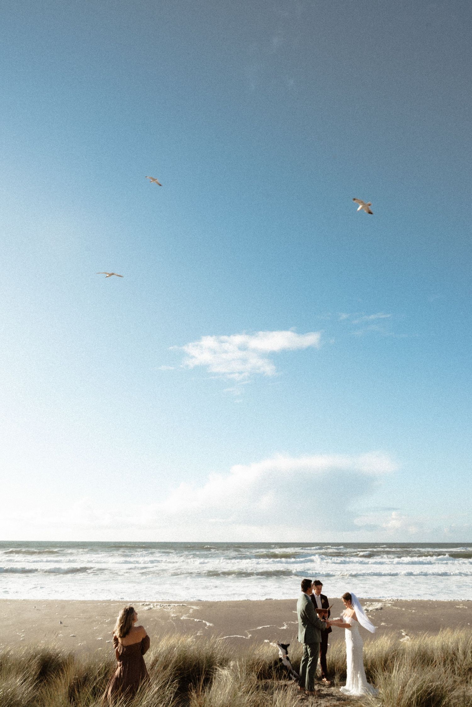 Intimate beach elopement ceremony with a bride, groom and officiant on grassy dunes as seagulls fly over the ocean under a blue sky.