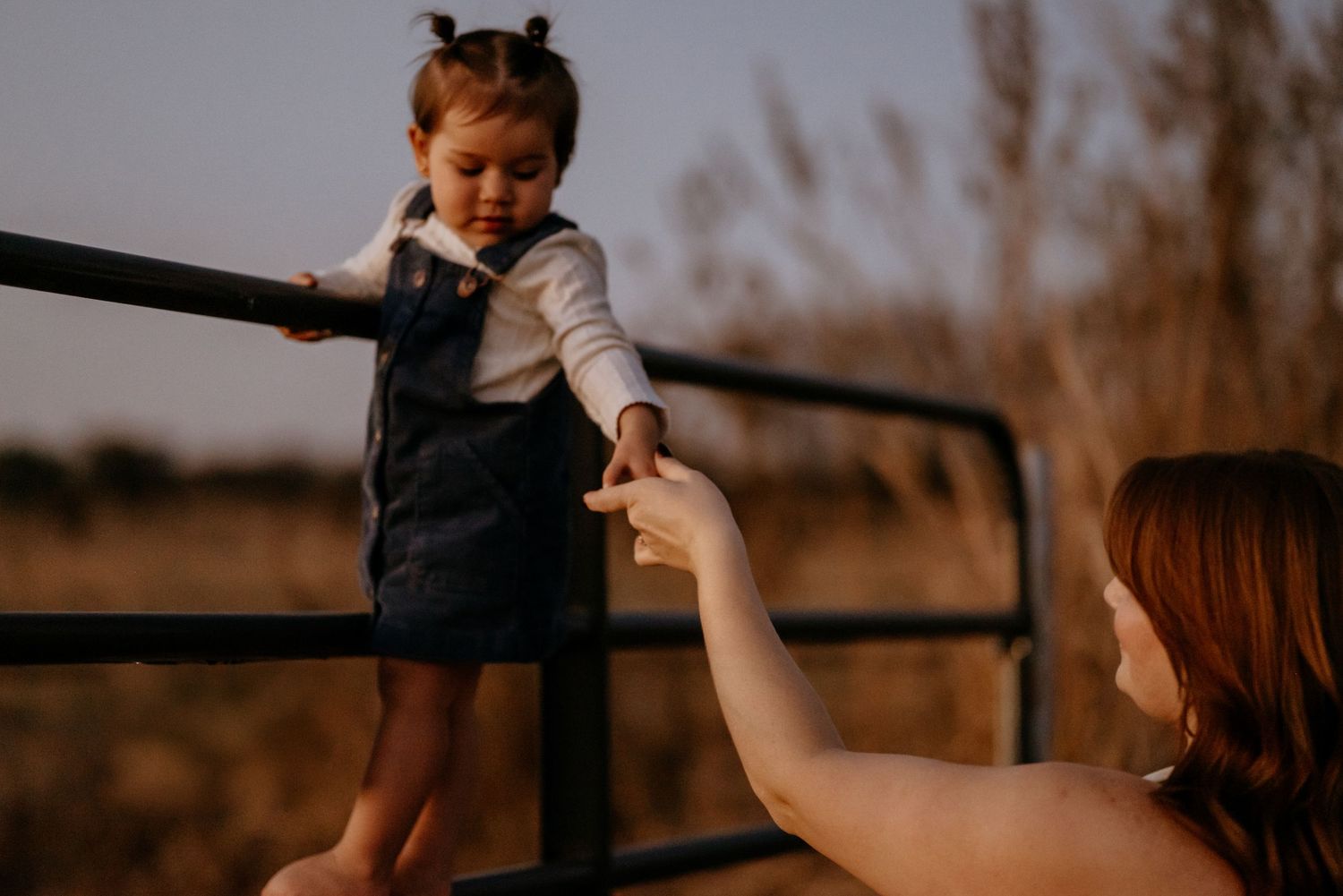 A toddler in denim overalls stands on a fence rail, holding hands with a woman in a golden field.