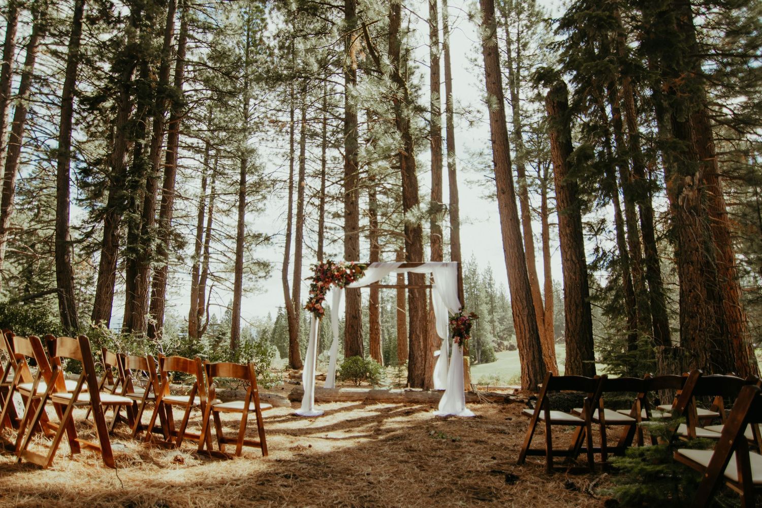 Outdoor forest wedding ceremony with wooden chairs, floral arch, and tall pine trees in natural sunlight.