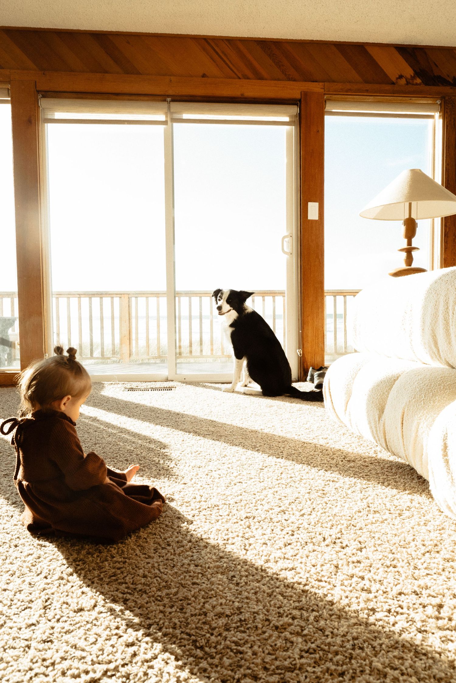 A toddler in a brown outfit sits on a shaggy carpet beside a black and white dog, both gazing at bright ocean-view windows.