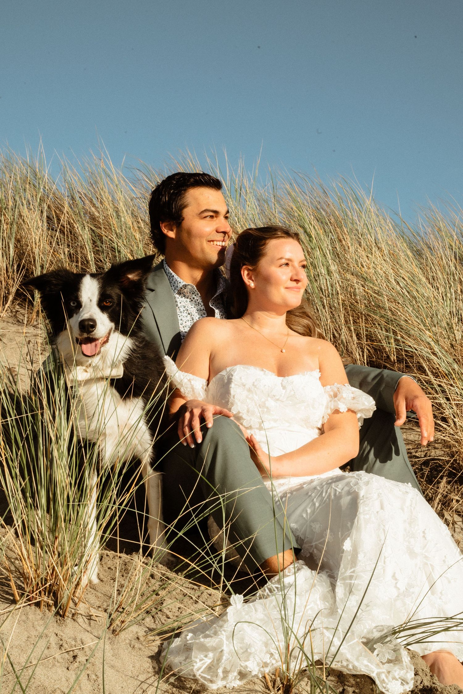 Bride and groom sitting on beach sand dunes with their black and white border collie dog on a sunny day.