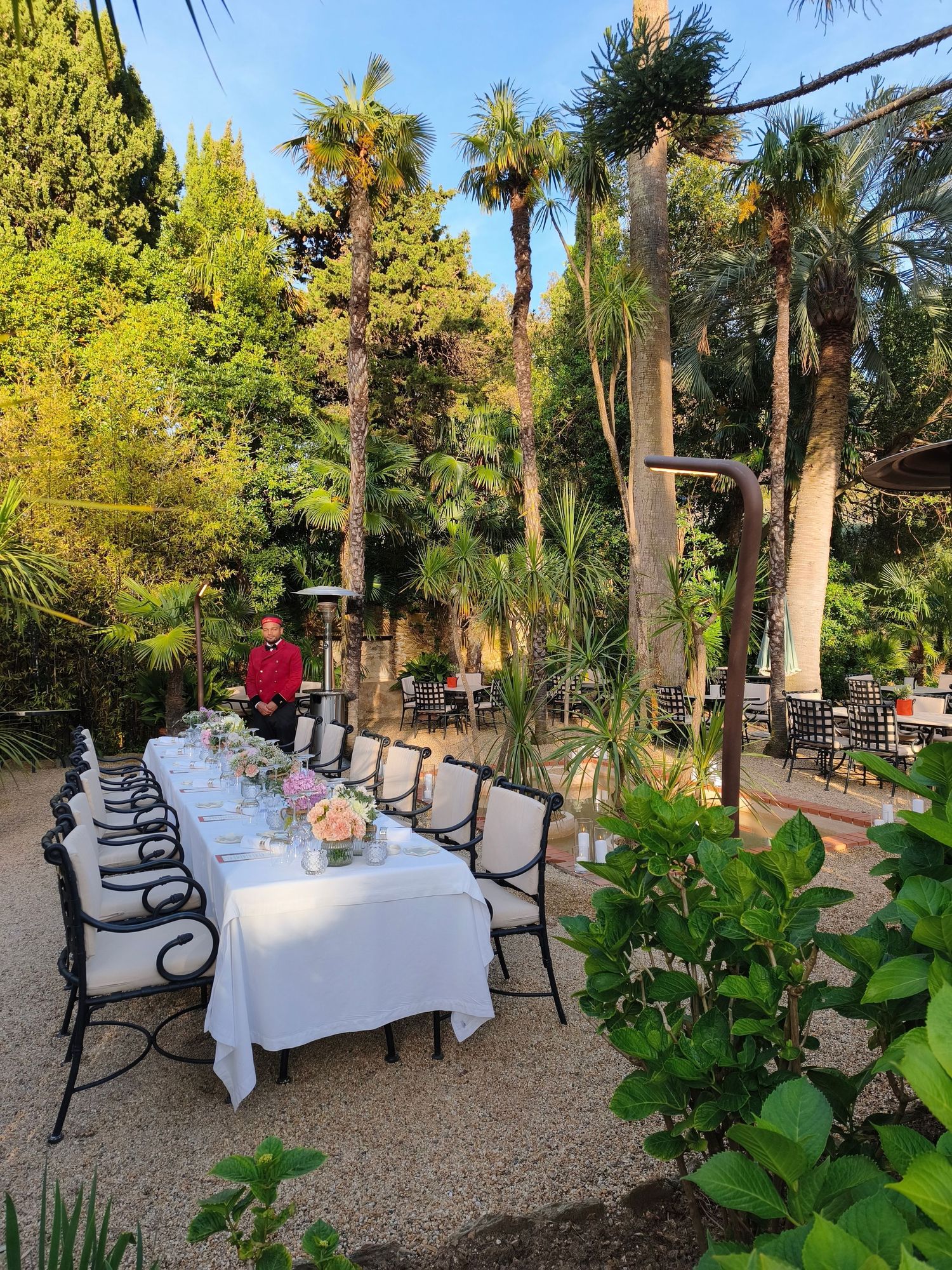 Long outdoor dining table set with white linen surrounded by tall palm trees in a garden.