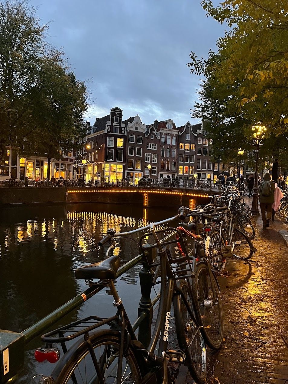 Bicycles parked along Amsterdam canal at dusk with illuminated historic Dutch buildings reflecting on water.