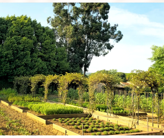Lush kitchen garden with raised vegetable beds, trellised arches, and manicured hedges under blue sky.