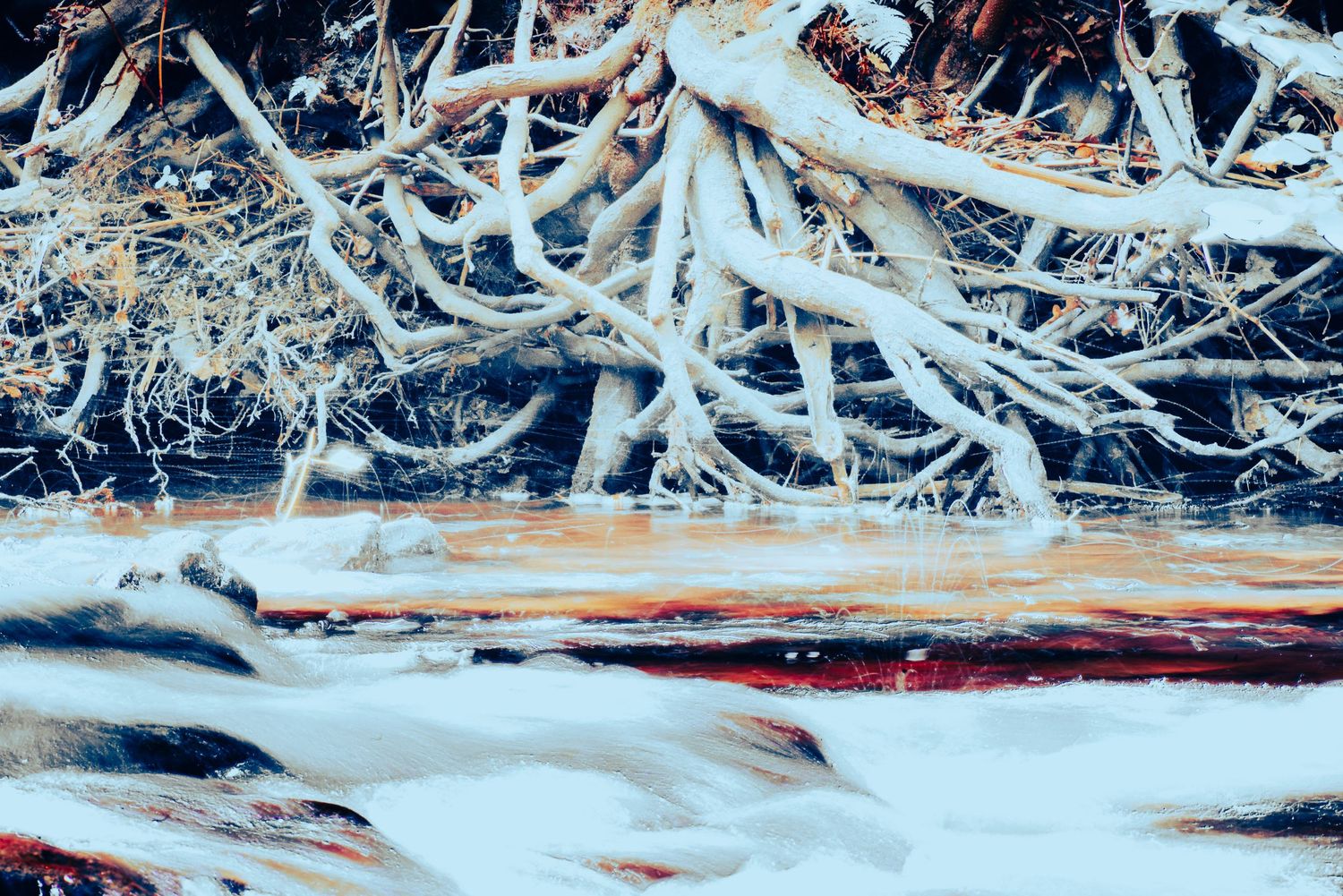Snow-covered tree roots and icy terrain with colorful streaks of red and orange in a winter landscape.