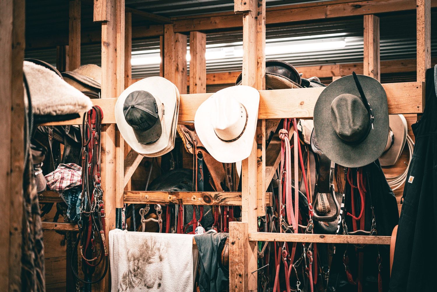 Cowboy hats and horse riding gear hanging on wooden rack inside a rustic barn storage room.