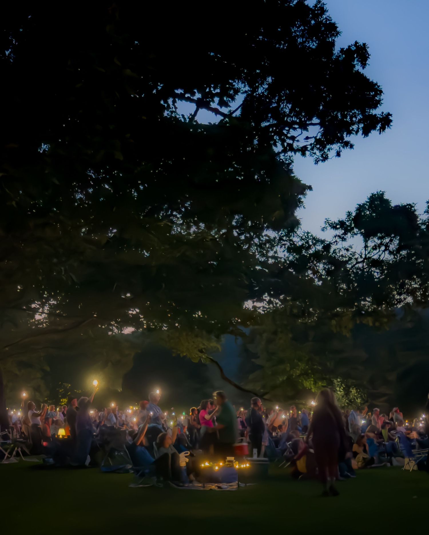 A crowd gathered at an outdoor evening event under a large tree with glowing lights.